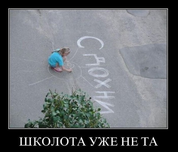 http://cs9791.vkontakte.ru/u8371296/120545215/x_3601eb8c.jpg